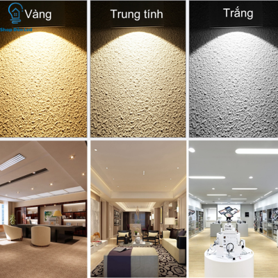 Bóng Đèn Downlight 3 Màu